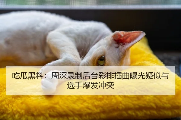 吃瓜黑料：周深录制后台彩排插曲曝光疑似与选手爆发冲突